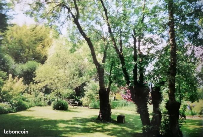 Reves & Riviere Bed & Breakfast Bagian luar foto